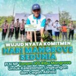 Wujud Nyata Komitmen Hari Mangrove Sedunia, PLN NP Tanam 100Ribu Mangrove untuk Kelestarian Lingkungan dan Cegah Abrasi