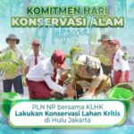 Komitmen Hari Konservasi Alam Nasional, PLN NP bersama KLHK lakukan Konservasi Lahan Kritis di Hulu Jakarta