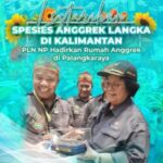 Spesies Anggrek Langka di Kalimantan, PLN NP Hadirkan Rumah Anggrek di Palangkaraya