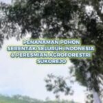 Penanaman Pohon Serentak Seluruh Indonesia dan Peresmian Agroforestri Sukorejo