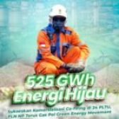 525 GWh Energi Hijau, Sukseskan Komersialisasi Co-Firing di 24 PLTU, PLN NP terus gas pol Green Energy Movement